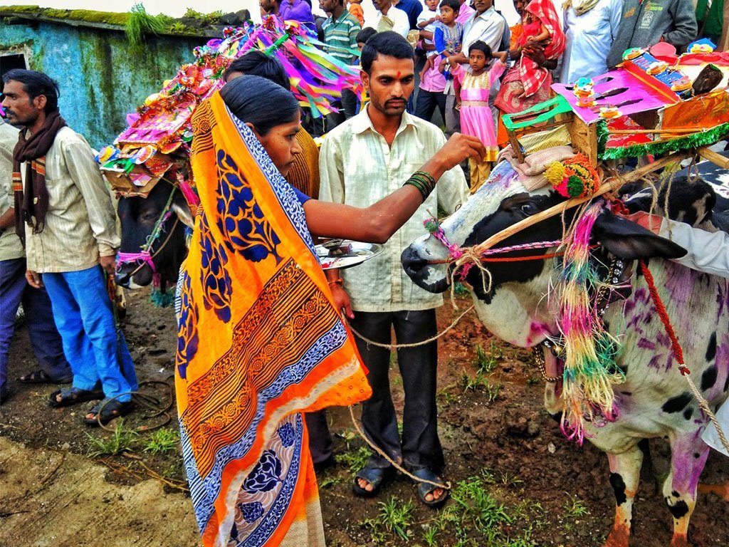 पोला-पर्व