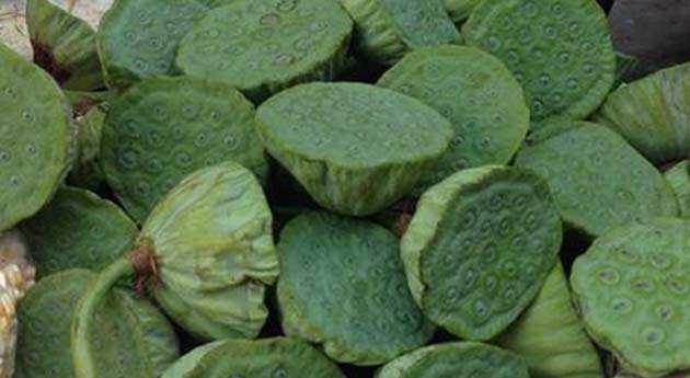 सूखे कमल गट्टे